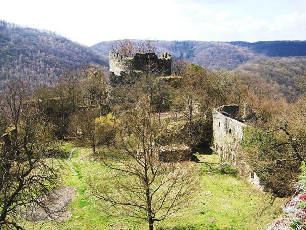 Garden apartments Znojmo Exterior foto